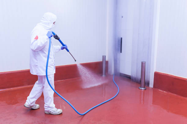 Best Building Exterior Washing  in Vaville, CA